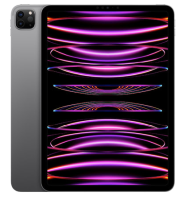 Apple iPad Pro 11-tum (2022) Wi-Fi 2 TB - Rymdgrå#1
