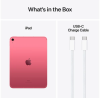Apple iPad A16 11 tum Wi-Fi + Cellular 256 GB - Rosa#2